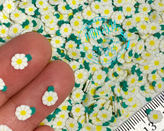 5mm WHITE DAISY, Polymer Clay Slices / resin art / nail art / snow globe tumbler / crafts / supplies / Diy / Cute / Flower, DAISY 001