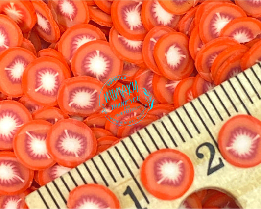 5mm TOMATO/ Healthy Food/Fake Sprinkle/Fimo/ DIY/Fake Food/Slime/Snow Globe Tumblers/Deco Topping/Fake Dessert, vegetable, SALAD 004