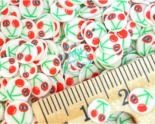 5mm CHERRY / Fruit Slices / Healthy food / Polymer clay Slices / resin art / nail art / fimo / slime / snow globe tumbler / DIY / FRUIT 006